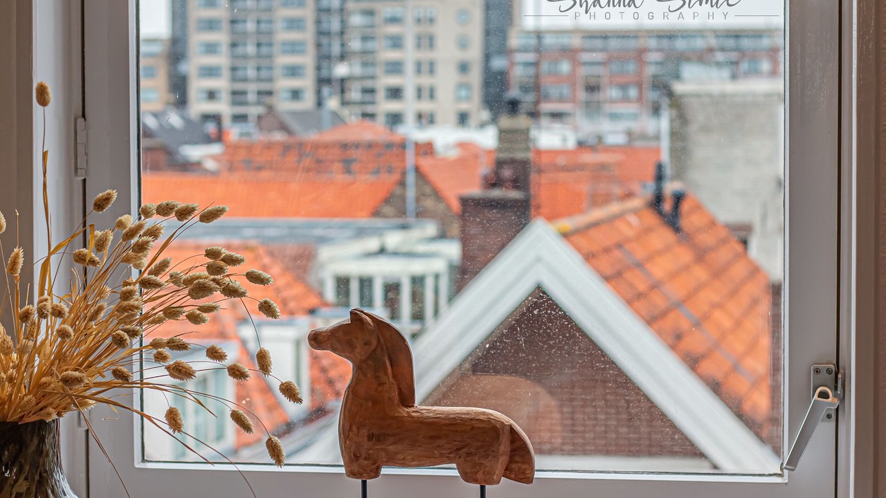 Photo of Others in Alkmaar