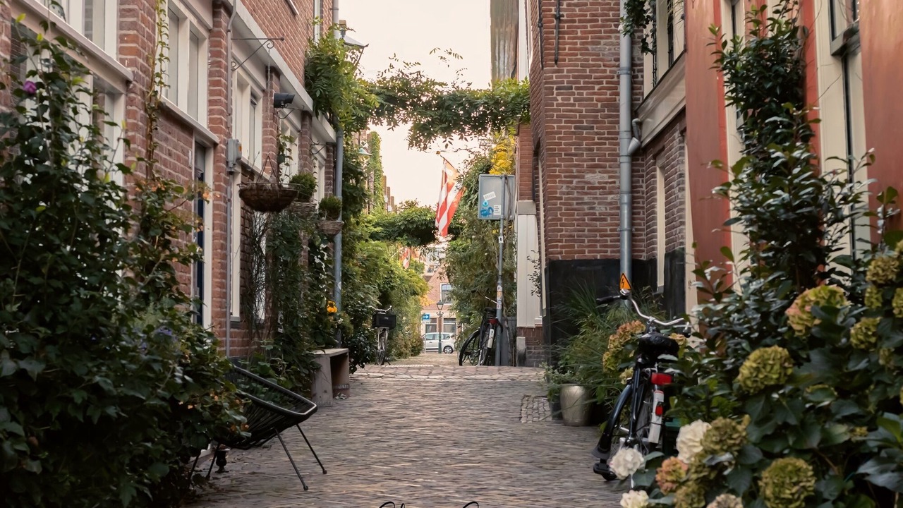 Photo of Outdoor in Alkmaar