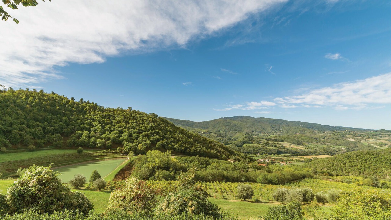 Photo of Others in Dicomano