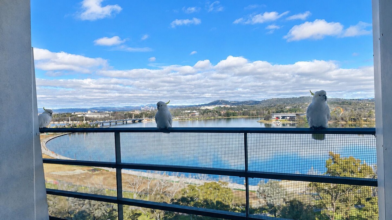 Photo of Outdoor in City West