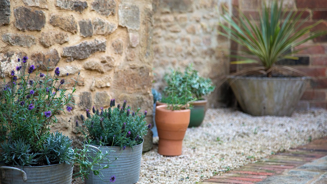 Photo of Outdoor in Adderbury