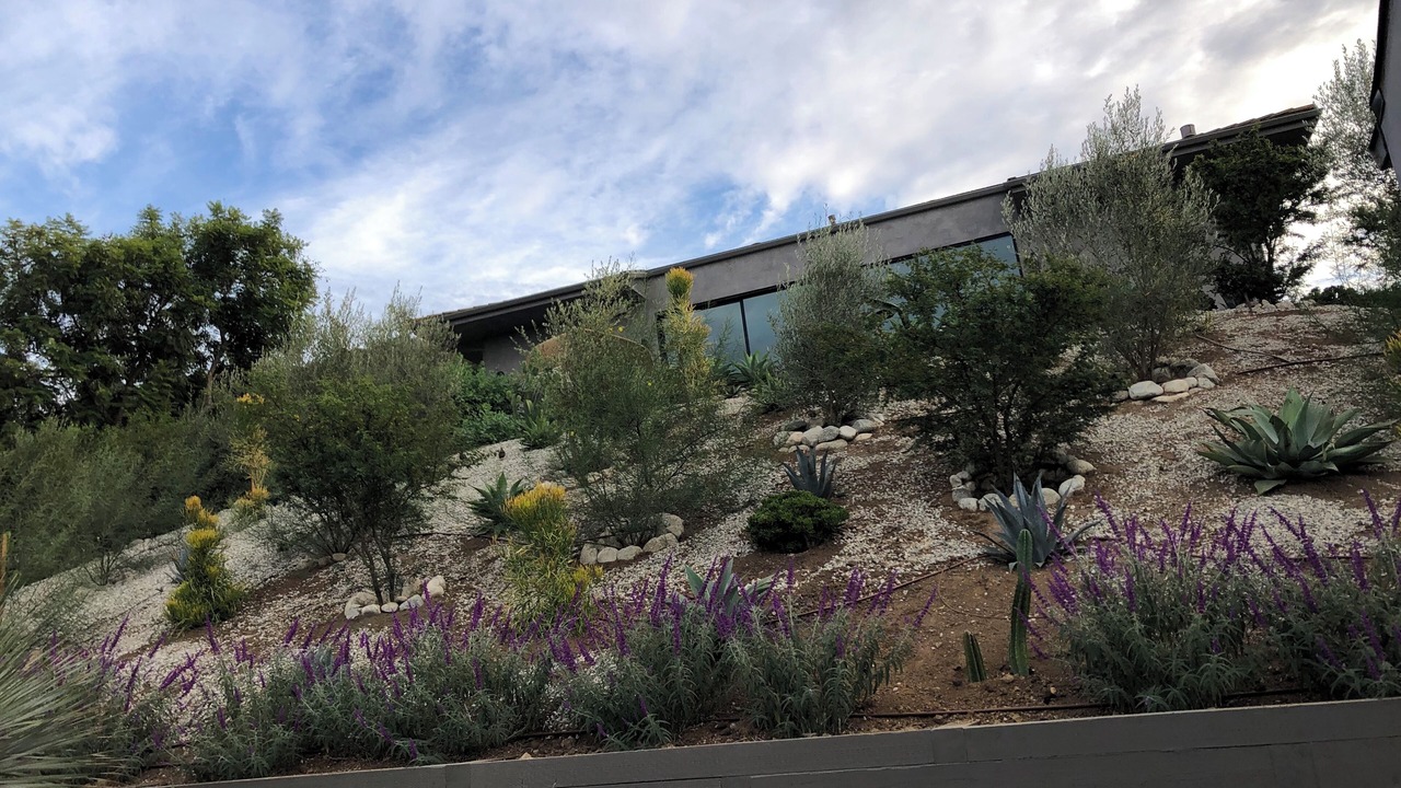 Photo of Outdoor in Thousand Oaks