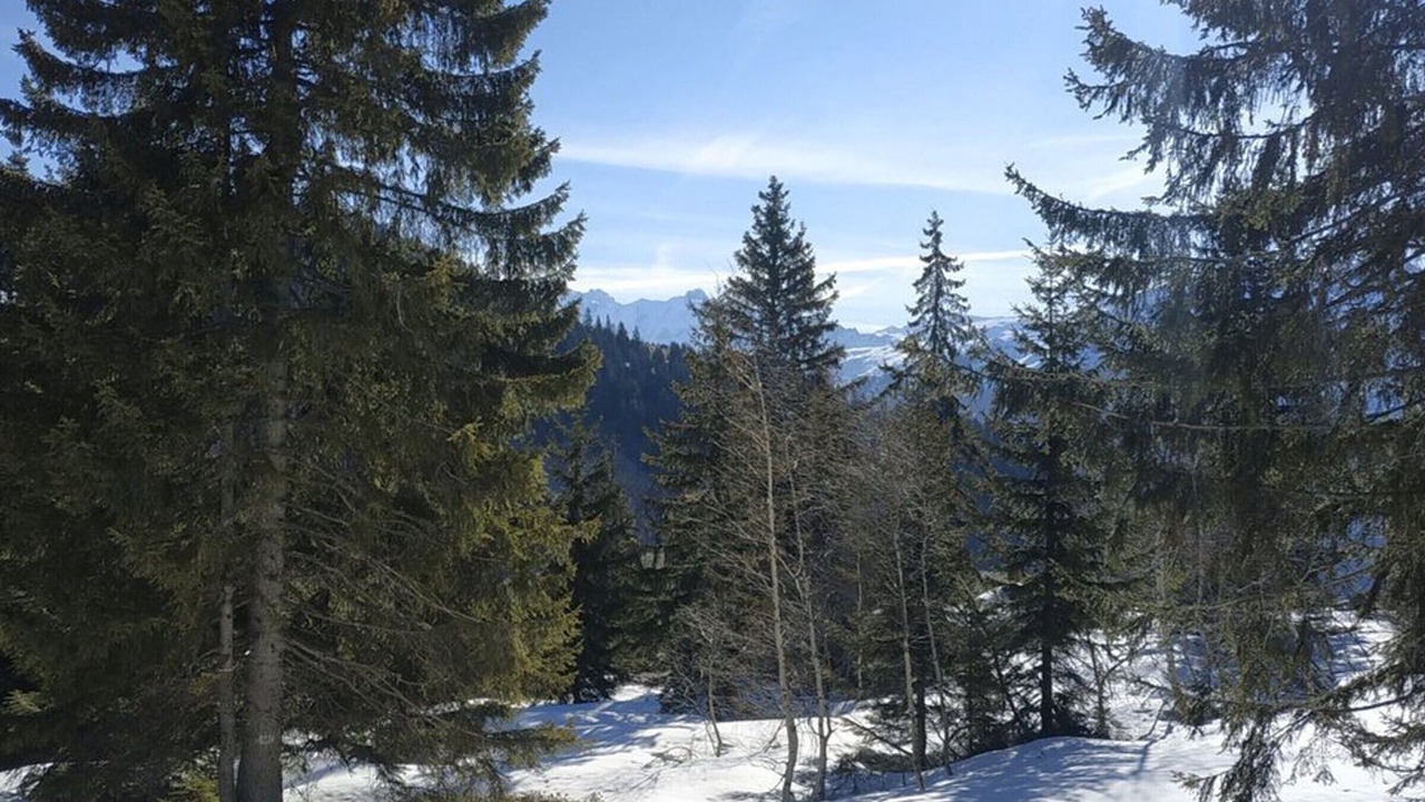 Photo of Others in Les Saisies