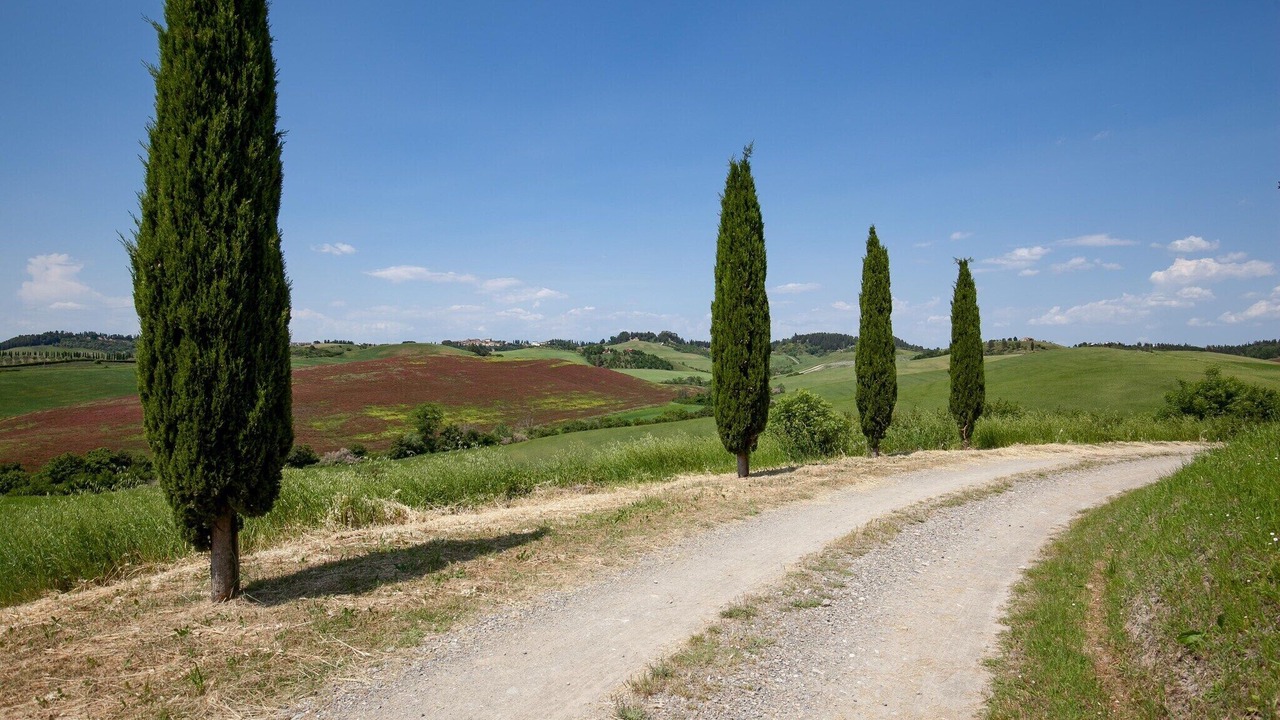 Photo of Others in Peccioli
