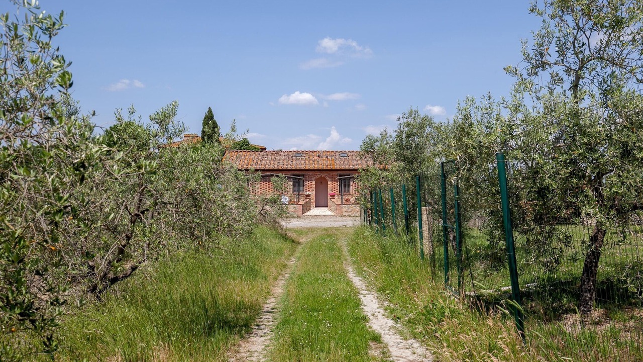 Photo of Outdoor in Peccioli