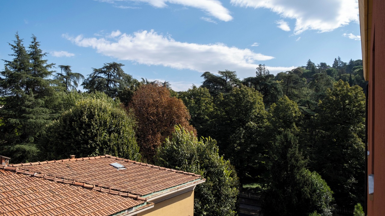 Photo of Others in Saragozza-Porto