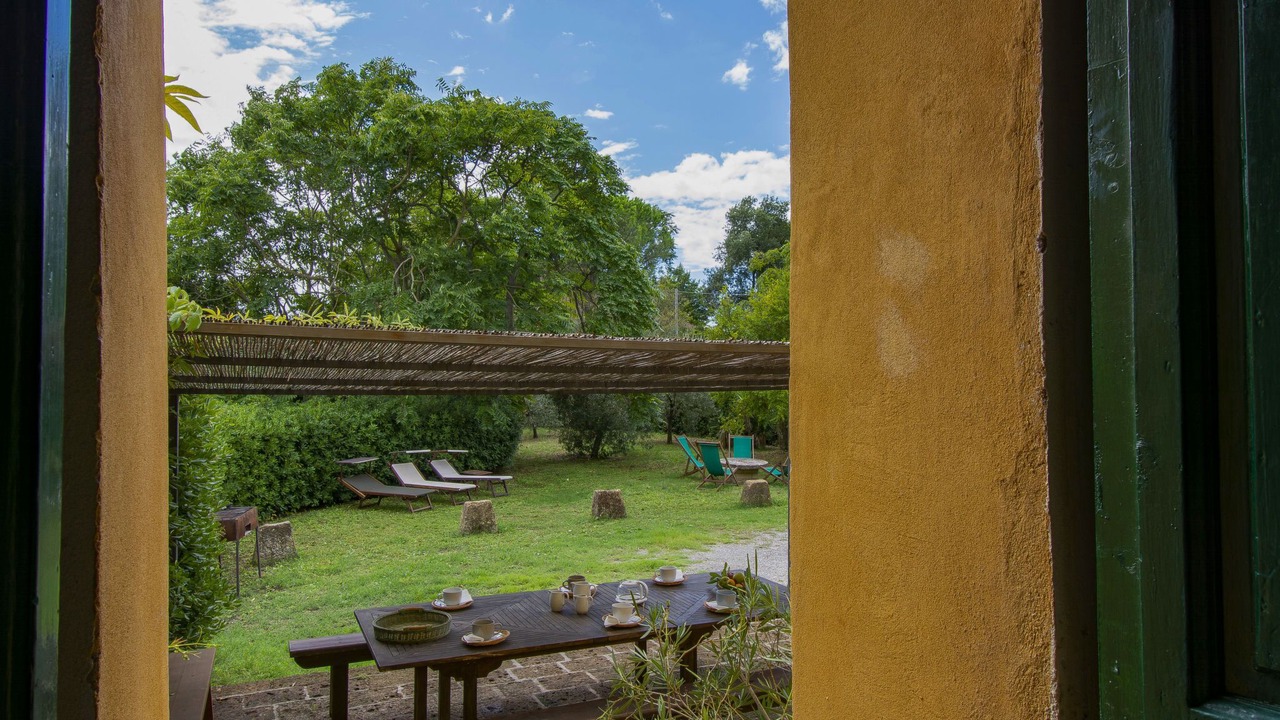Photo of Outdoor in Palaia