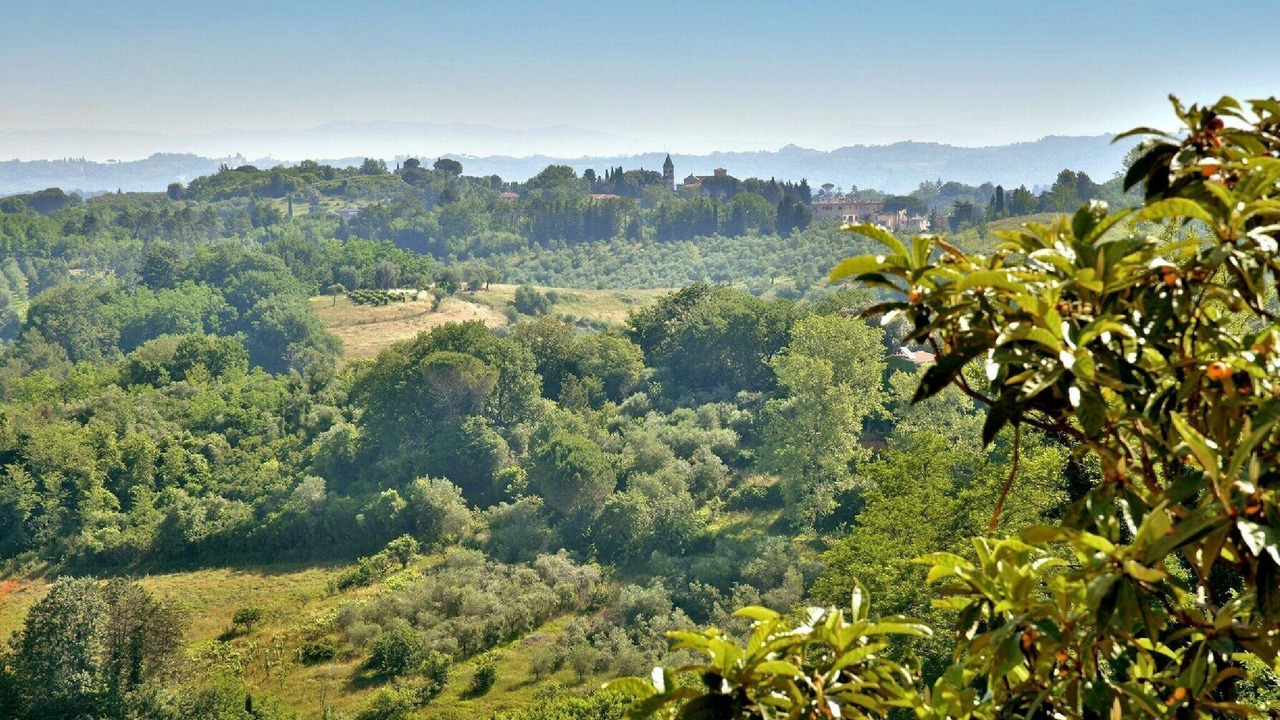 Photo of Others in Lari