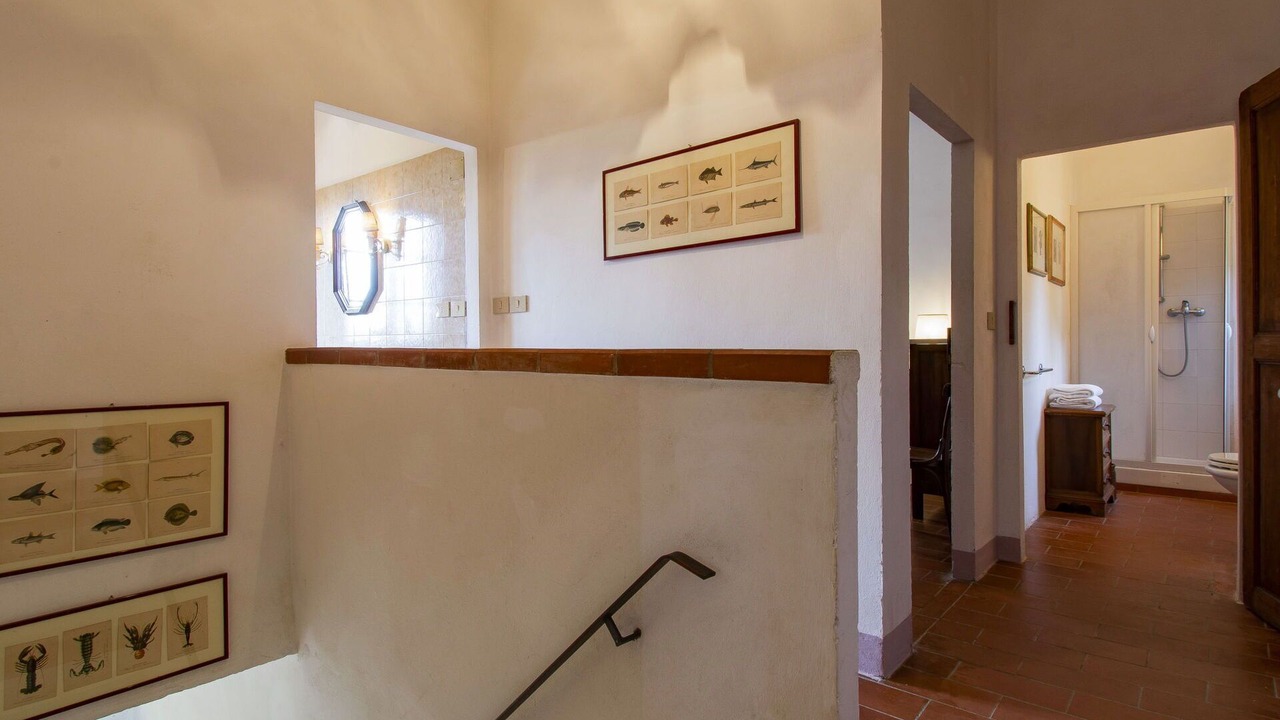 Photo of Others in Palaia
