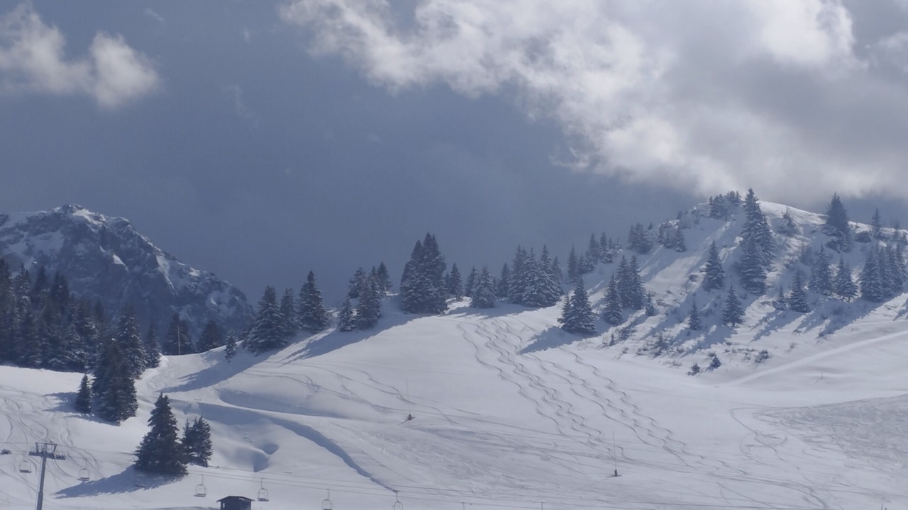 Photo of Others in Thollon-les-Memises