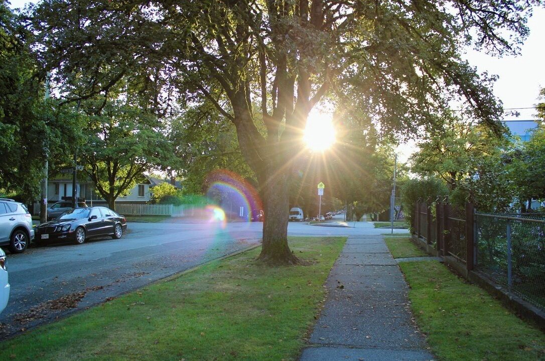 Photo of Outdoor in Knight