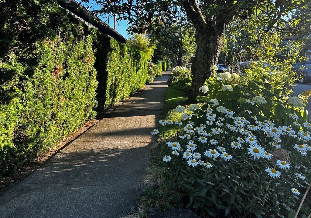 Photo of Outdoor in Knight