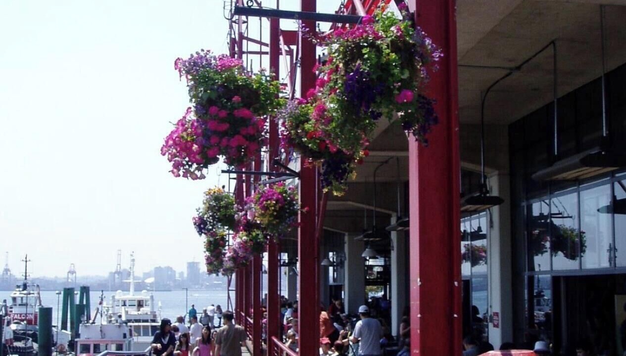 Photo of Others in Lower Lonsdale