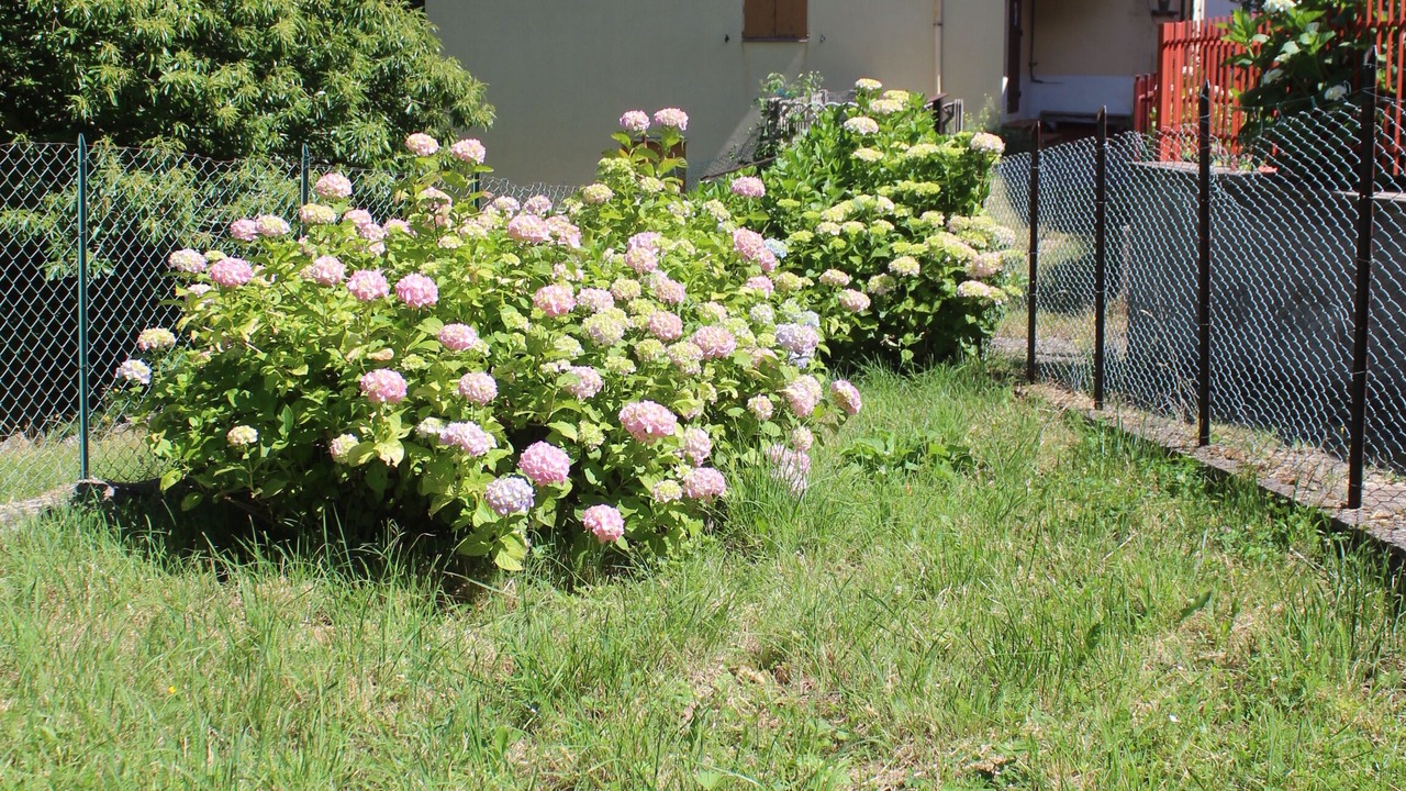 Photo of Outdoor in Sambuca Pistoiese