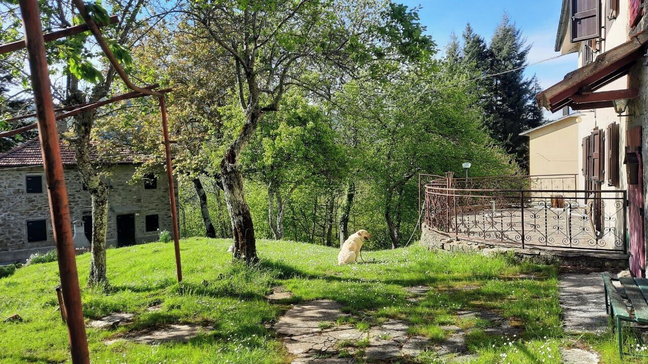 Photo of Outdoor in Sambuca Pistoiese