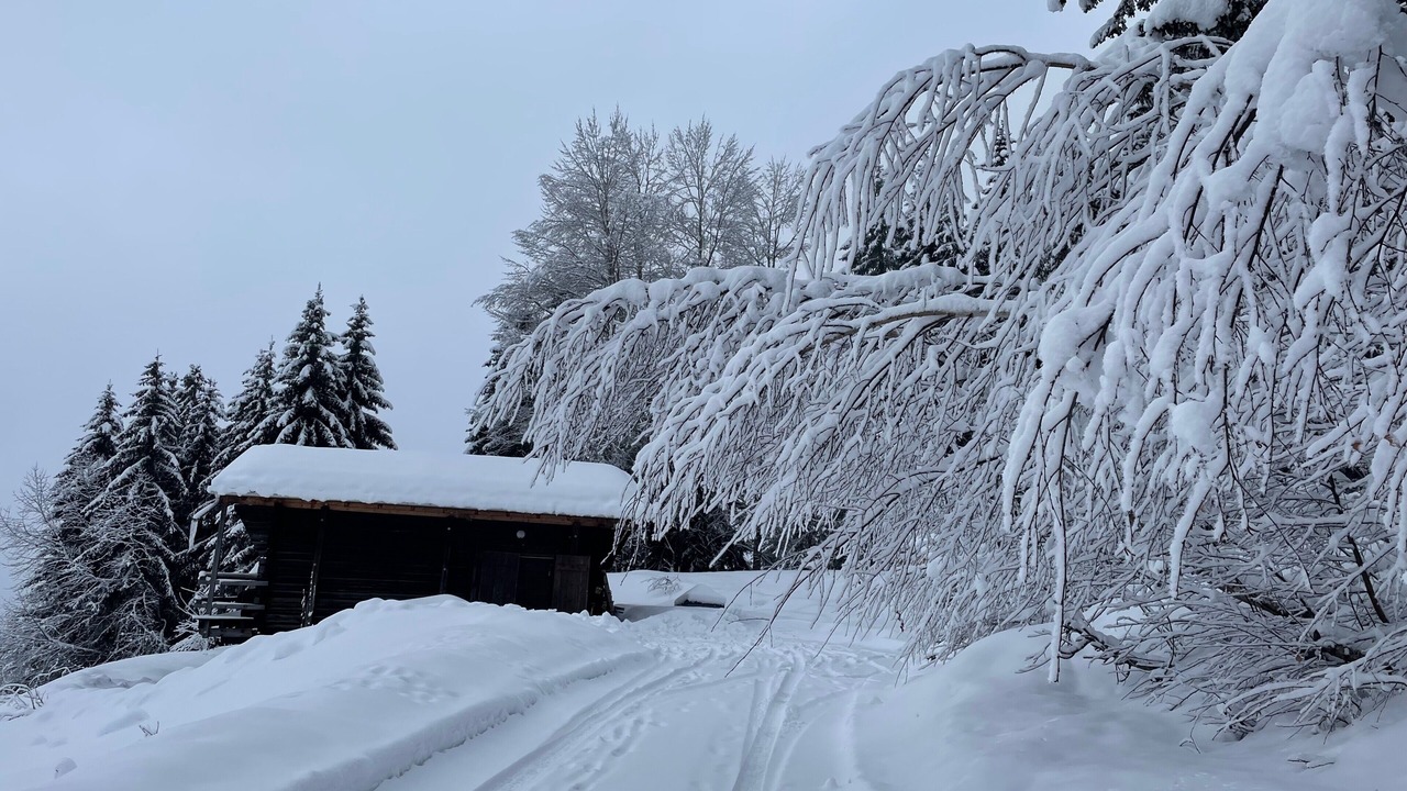 Photo of Outdoor in Bisanne 1500