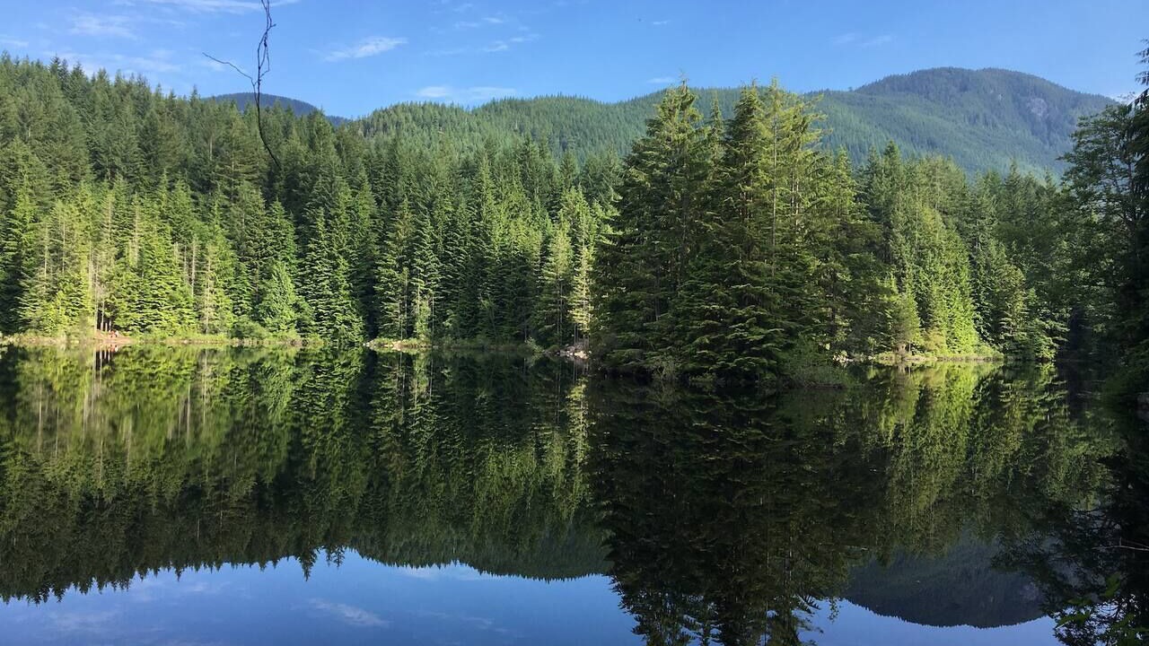Photo of Outdoor in Lynn Valley