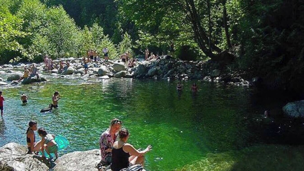 Photo of Others in Lynn Valley