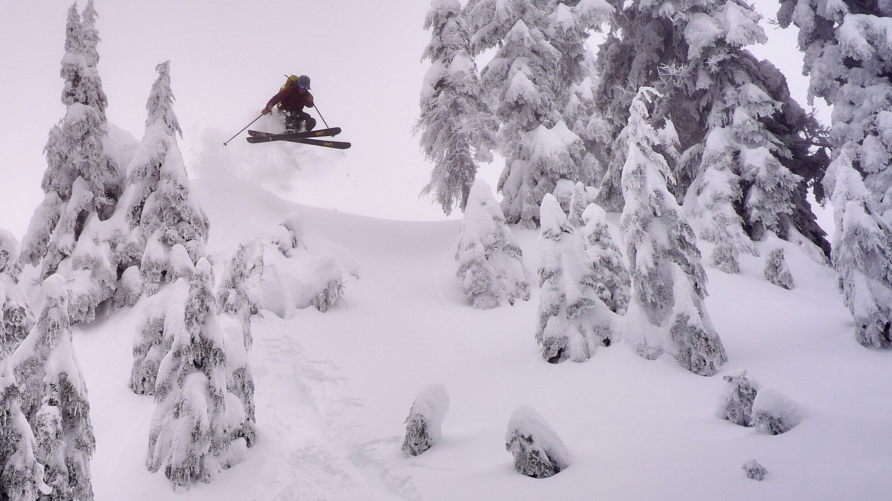 Photo of Others in Lynn Valley