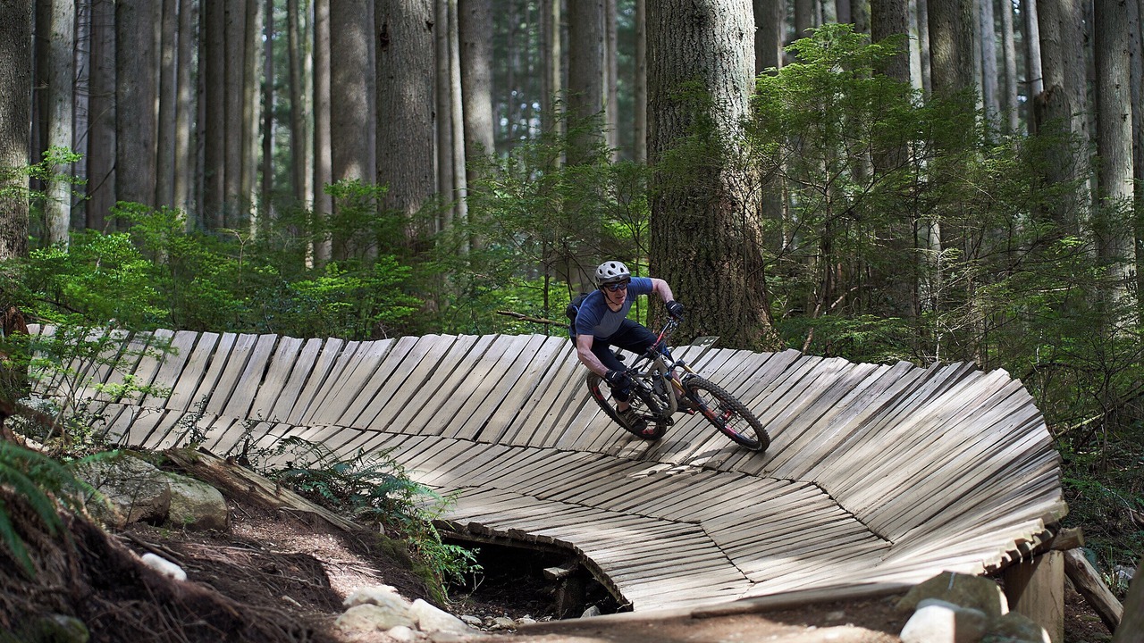 Photo of Others in Lynn Valley