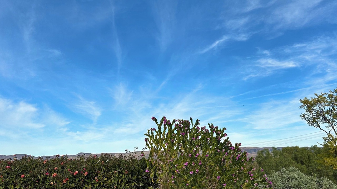 Photo of Others in Moorpark