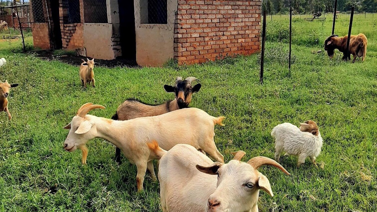 Photo of Others in Hekpoort