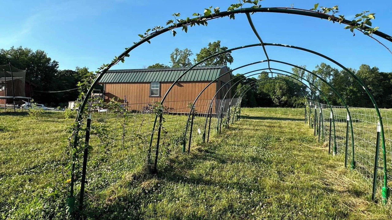Photo of Outdoor in Hamptonville