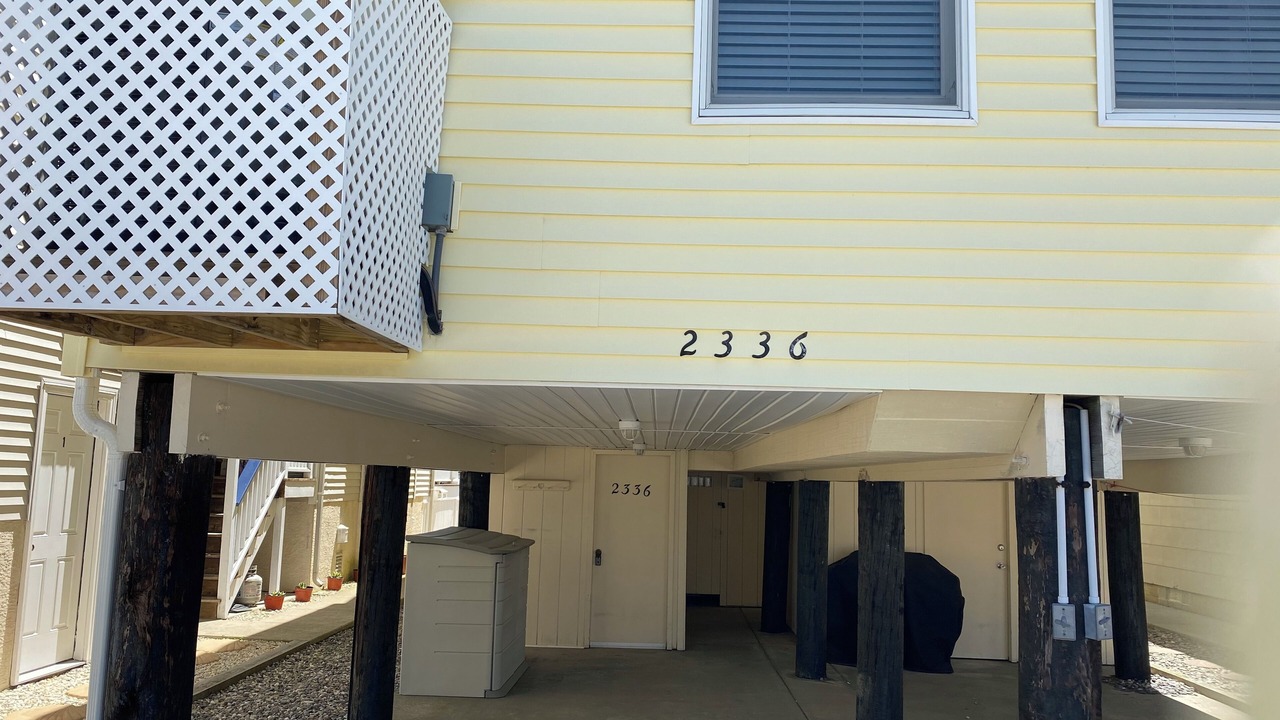 Photo of Outdoor in Gold Coast