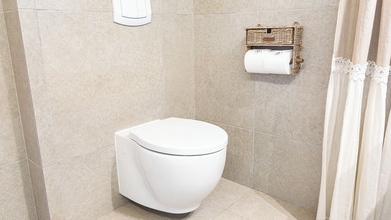 Photo of Bathroom in Canillo