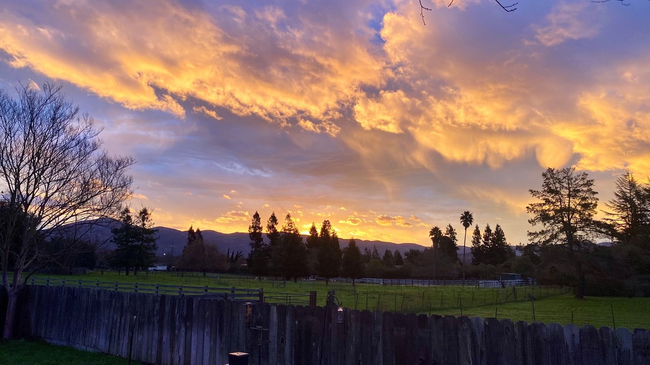 Photo of Outdoor in Napa