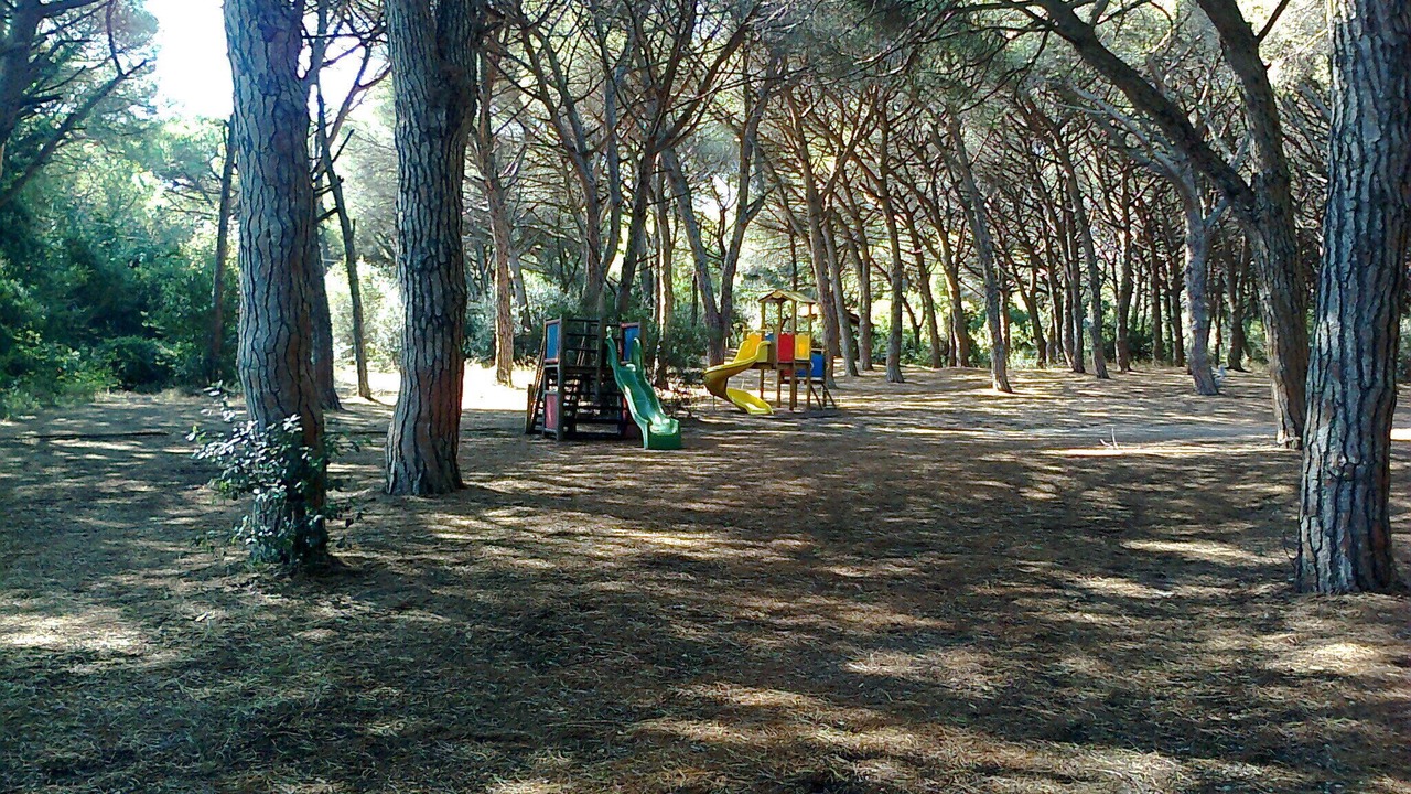 Photo of Others in Marina di Bibbona