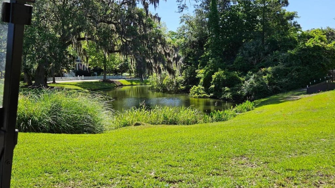 Photo of Others in Beaufort