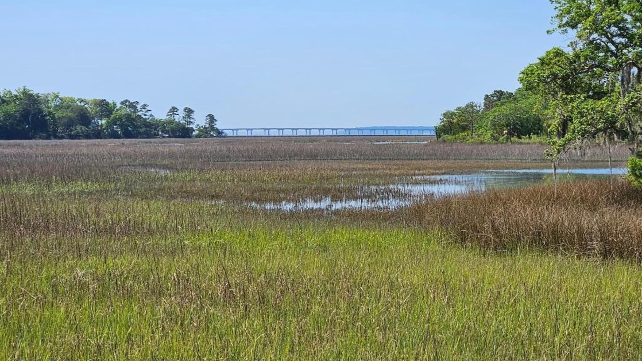Photo of Others in Beaufort