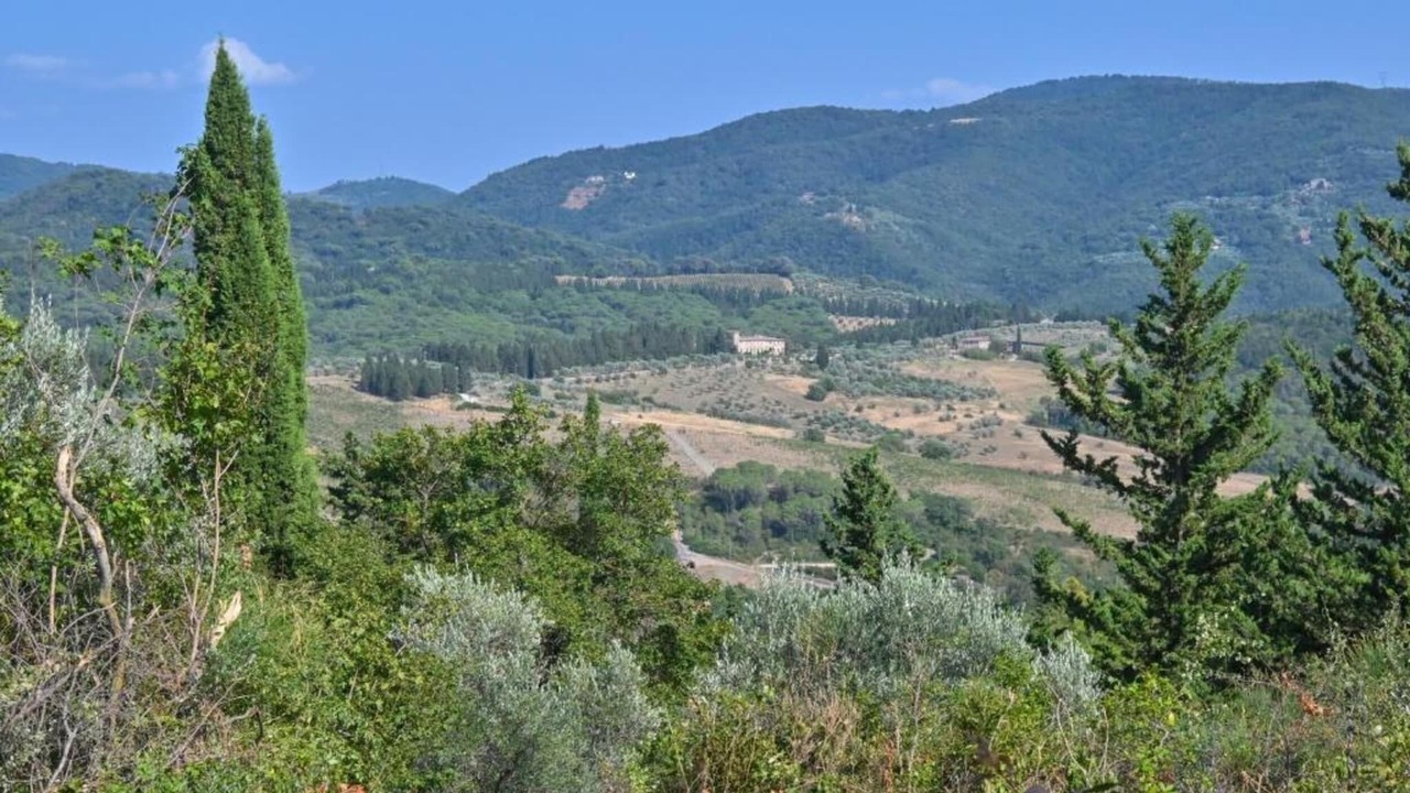 Photo of Others in Greve in Chianti