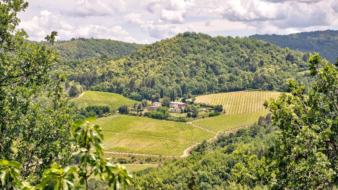 Photo of Others in Greve in Chianti