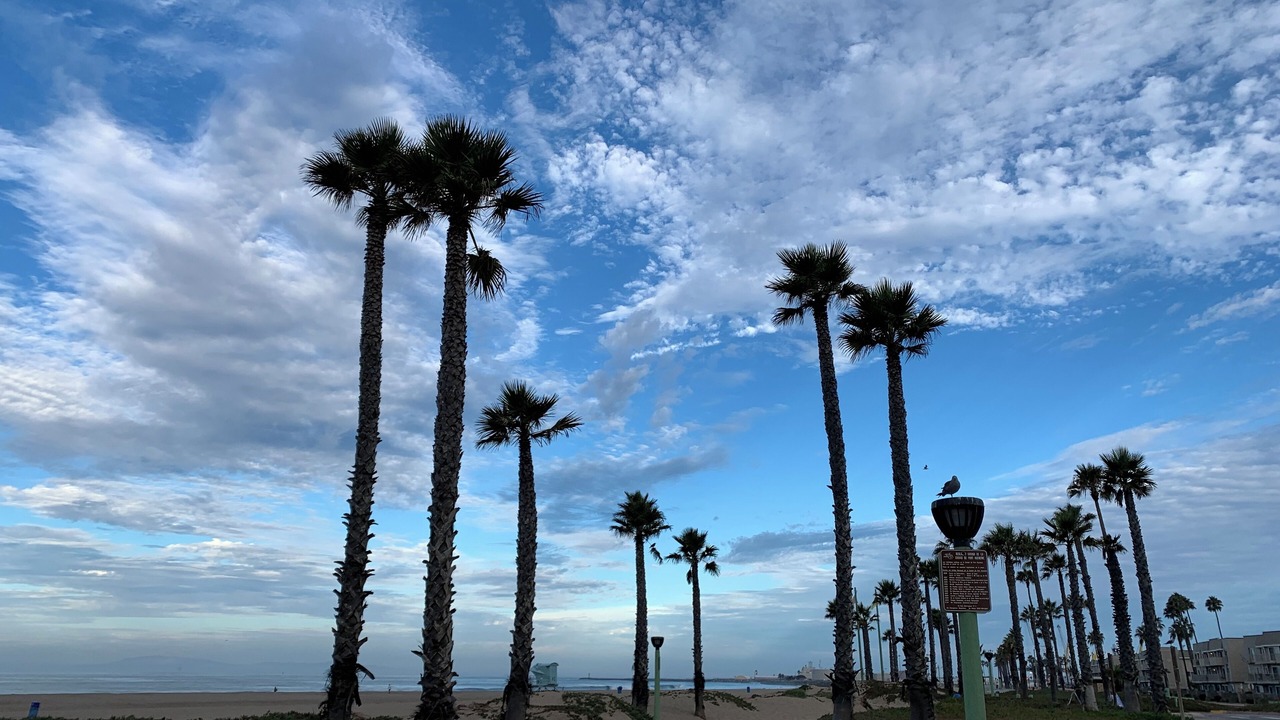 Photo of Others in Port Hueneme