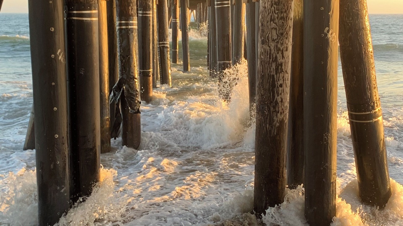 Photo of Others in Port Hueneme