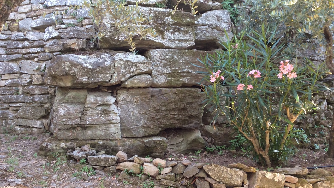 Photo of Outdoor in Fiesole