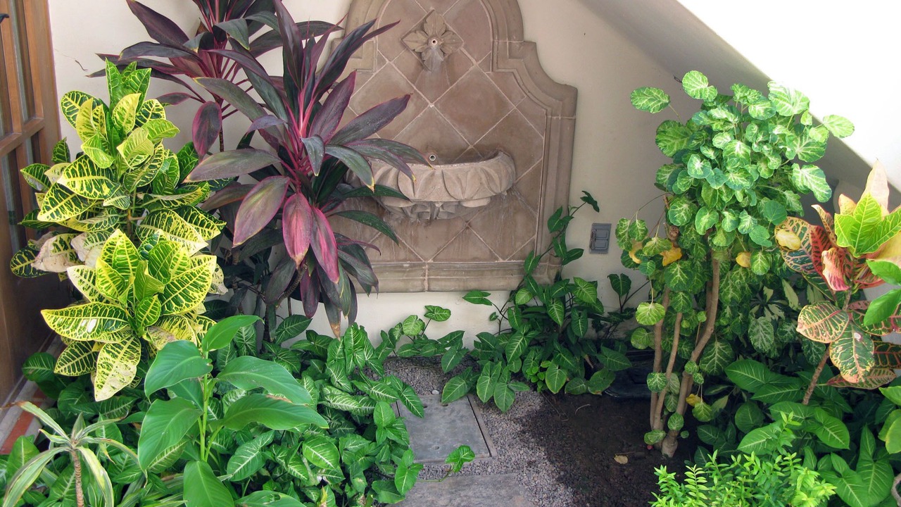 Photo of Outdoor in Nopolo