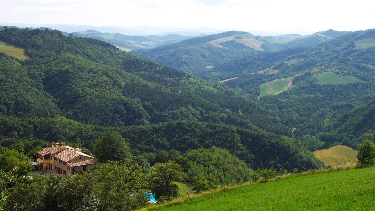 Photo of Others in Urbino