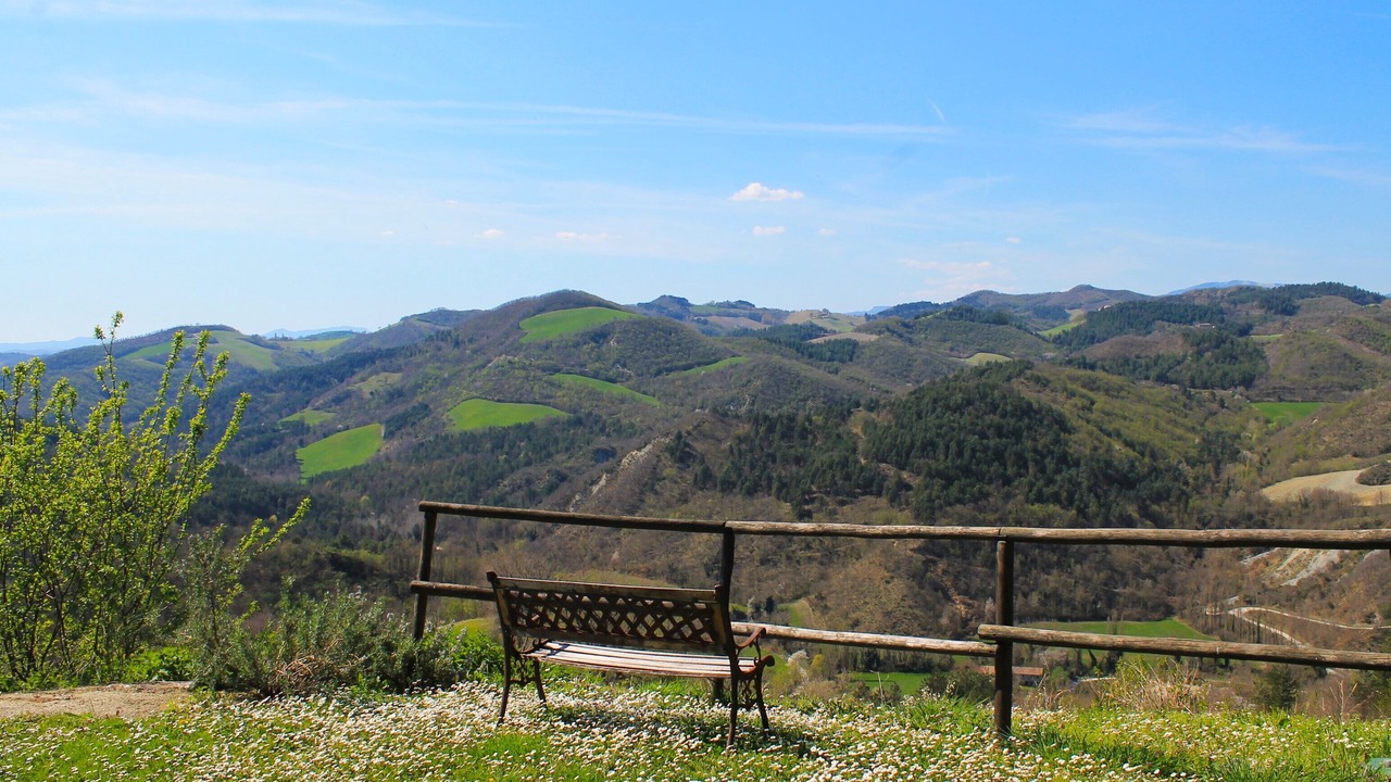 Photo of Others in Urbino