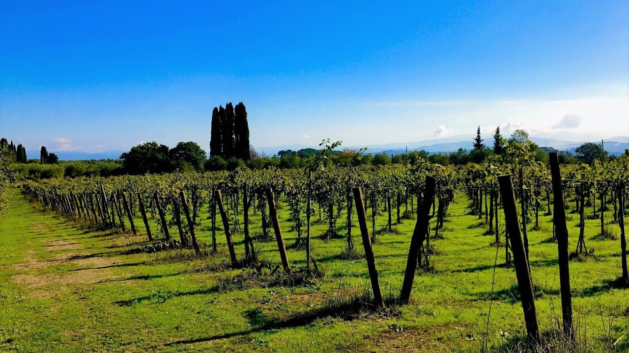 Photo of Others in San Casciano in Val di Pesa