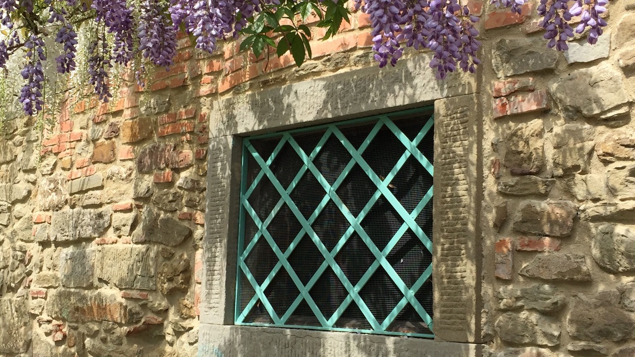 Photo of Others in San Giustino Valdarno
