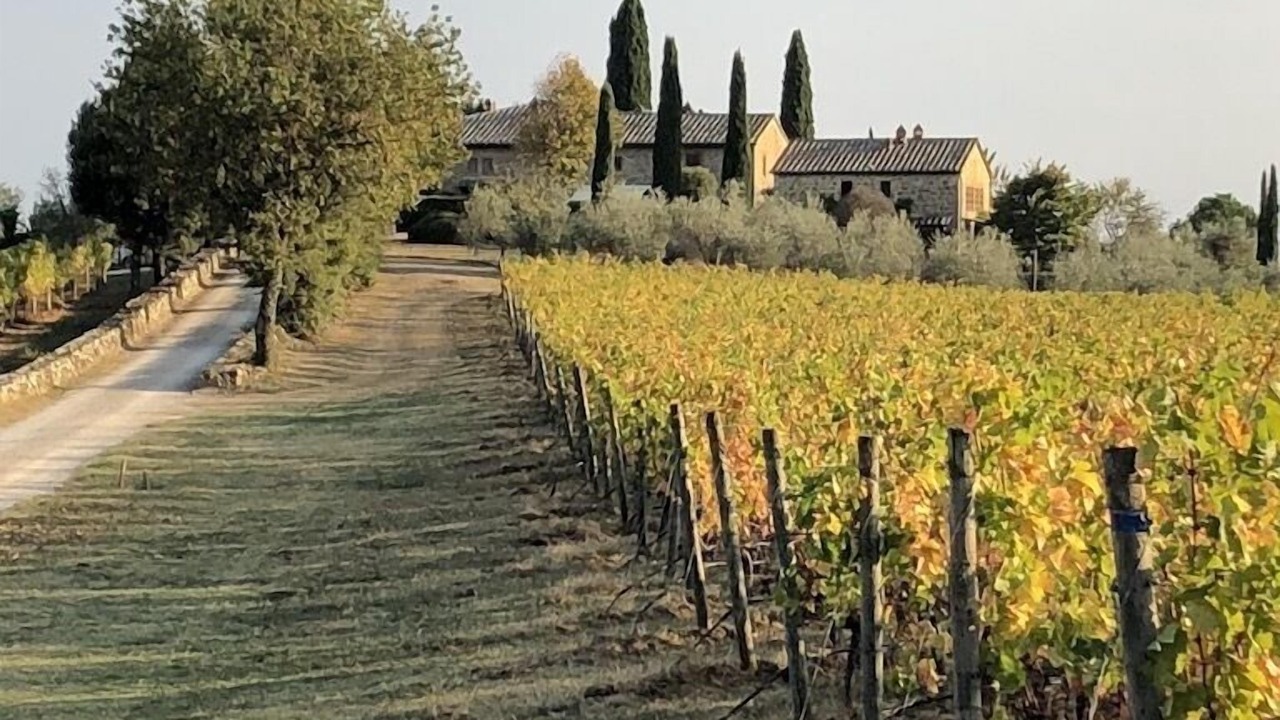 Photo of Others in Castelnuovo Berardenga