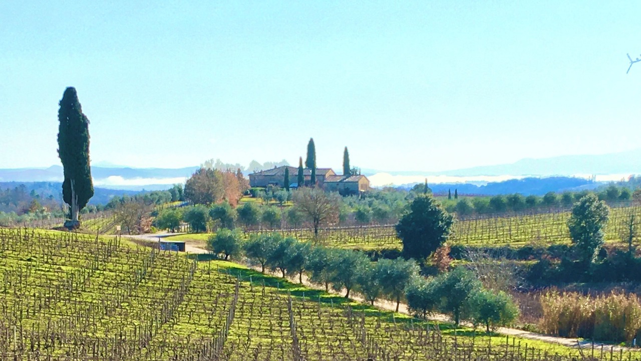 Photo of Others in Castelnuovo Berardenga