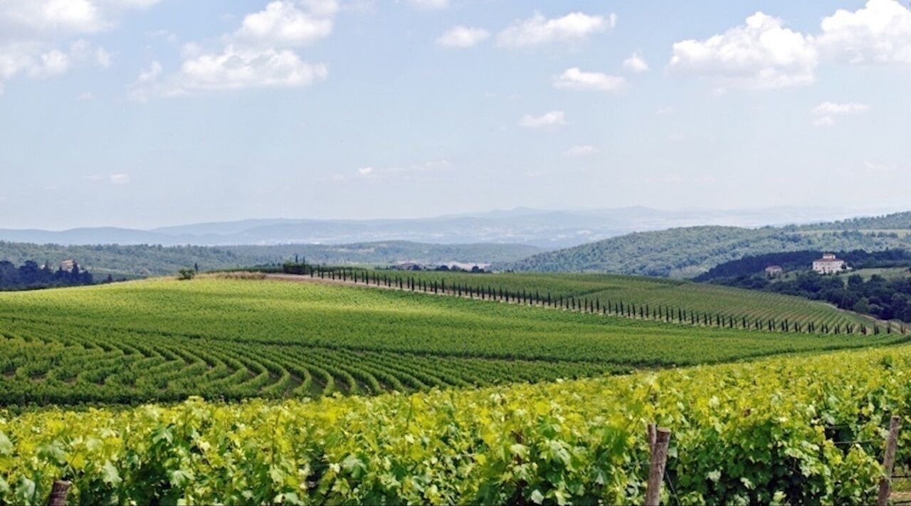Photo of Others in Castelnuovo Berardenga