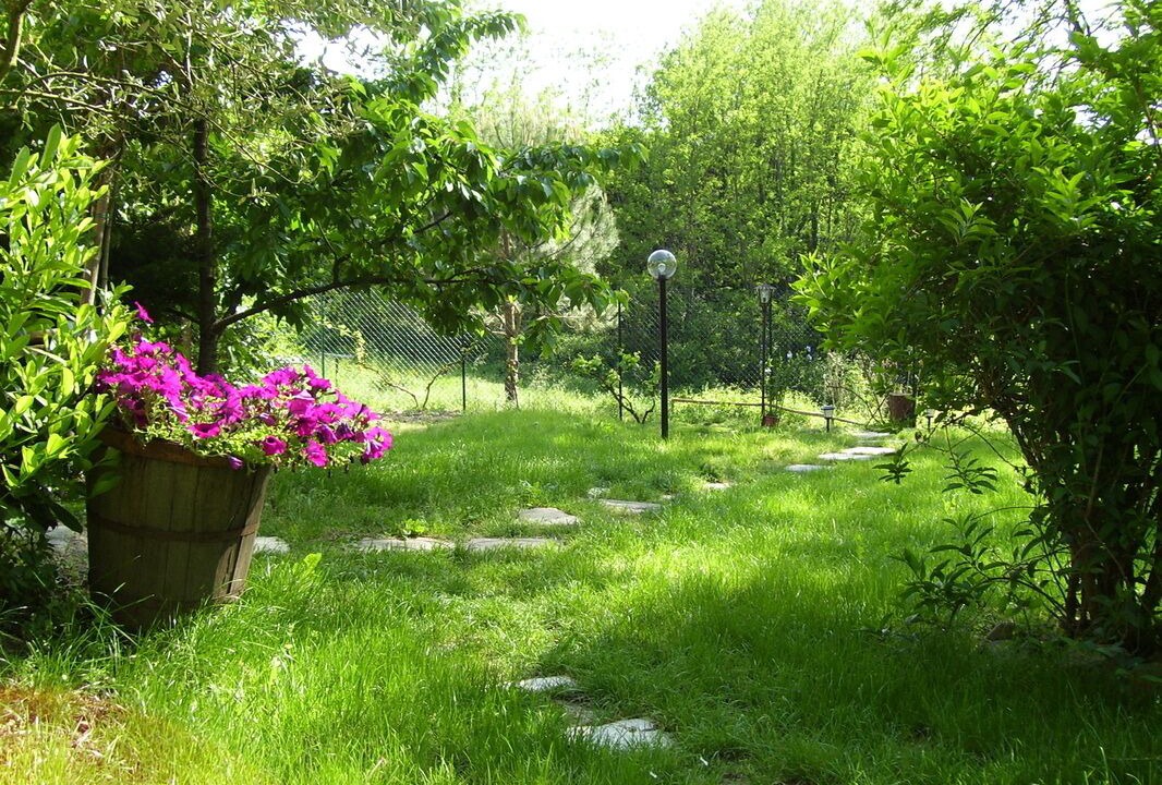 Photo of Outdoor in Molezzano