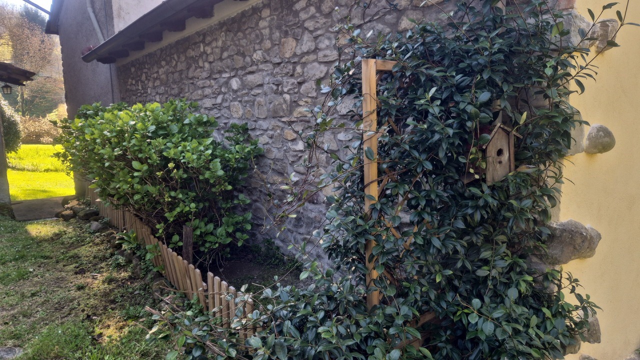 Photo of Outdoor in Molezzano