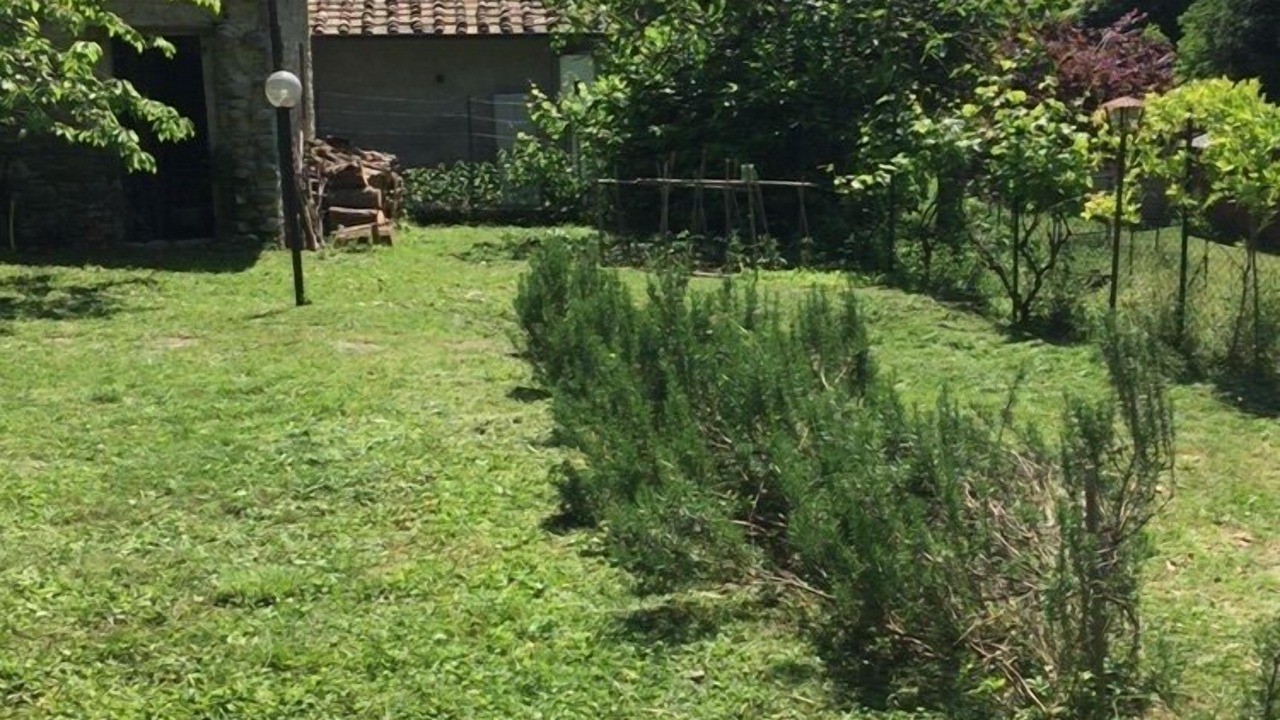 Photo of Outdoor in Molezzano