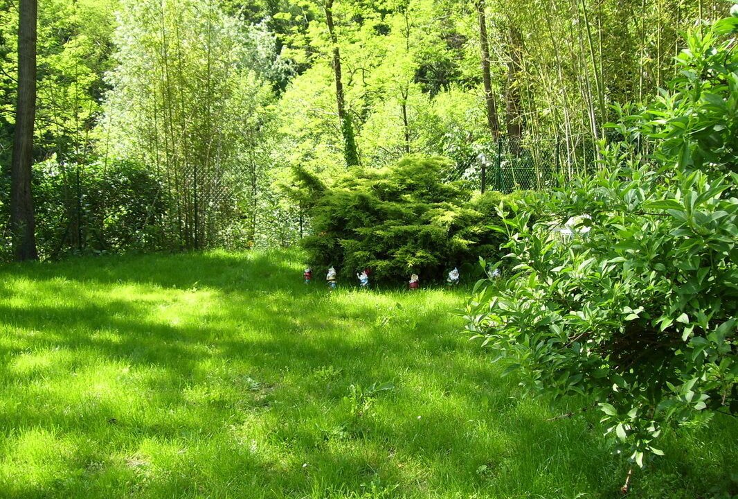 Photo of Outdoor in Molezzano